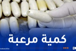 الجيش يضبط 81 كلغ “كوكايين”