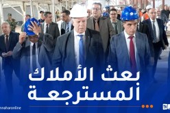 تعليمات وزارية بتسريع إعادة تشغيل مصنع الآجر بأدرار