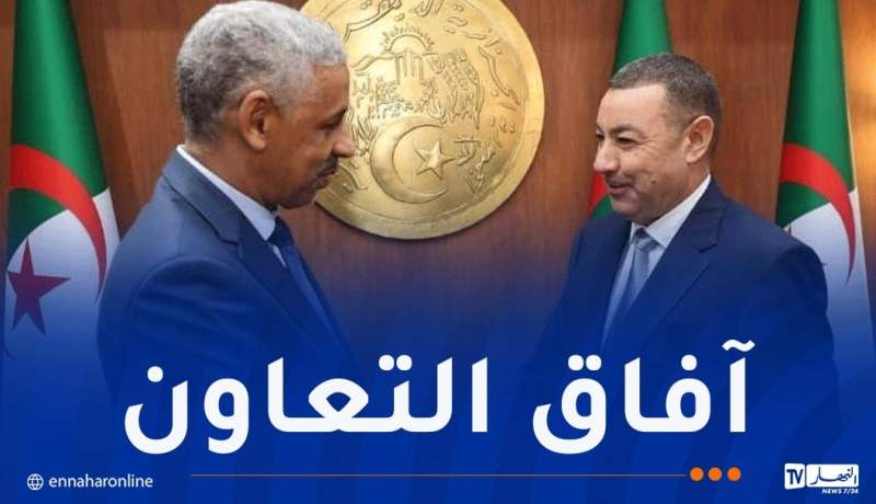 وزير الداخلية يستقبل رئيس مجموعة البنك الإفريقي للتنمية