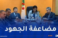 تنصيب يحياوي رئيسا لديوان وزارة التجارة الداخلية