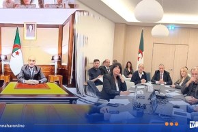 شايب يشرف على لقاء حول انخراط الجالية في دعم الاقتصاد الوطني