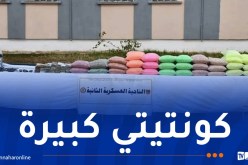 الجيش الوطني يفكك شبكة إجرامية خطيرة بالغرب الجزائري ويحجز أزيد من نصف مليون مؤثر عقلي