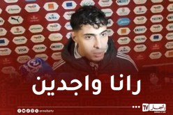 شايبي: “نحن الجزائر.. جئنا إلى هنا للفوز بالتاج الإفريقي”