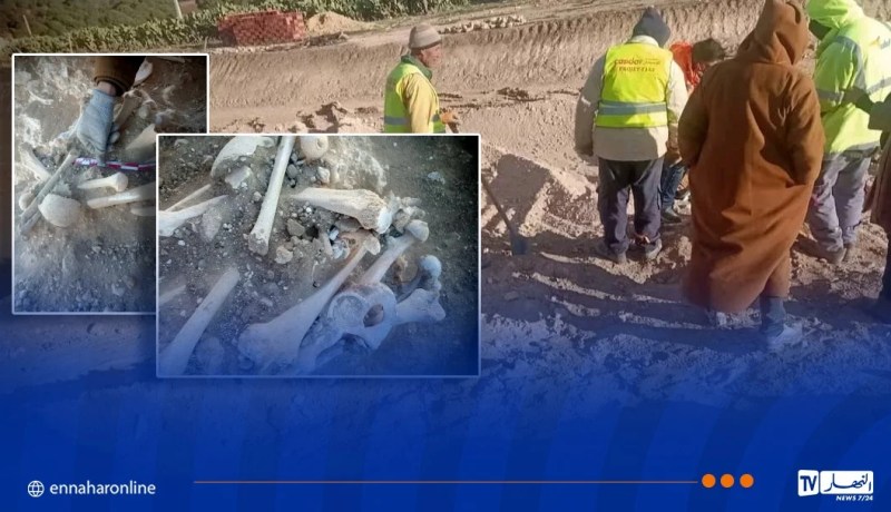 تبسة.. انطلاق الحفرية الإنقاذية بموقع أثري مكتشَف خلال أشغال السكة الحديدية ببكارية