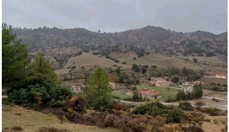 تيسمسيلت.. مشاريع تغطية المناطق النائية بشبكتي الهاتف النقال والإنترنت