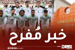 مشاركة المنتخب الوطني في بطولة كأس إفريقيا.. سونلغاز تُعلن عن قرار هام