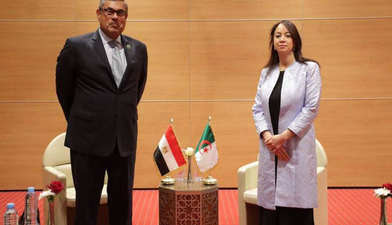 منصوري تستقبل نائب وزير الشؤون الخارجية لمصر.. وهذا ما دار بينهما