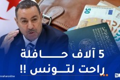 سعيود: وكالات سياحية مارست طرق احتيالية للحصول على منحة السفر