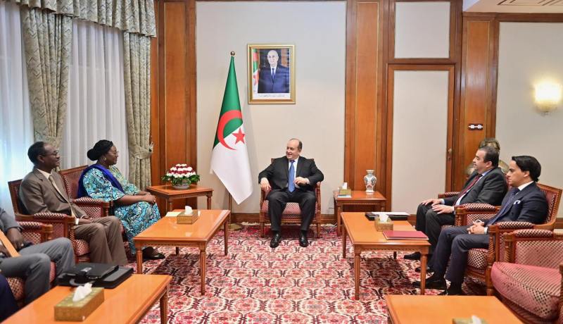 الوزير الأول يستقبل وزيرة البترول التشادية حاملةً رسالةً خطية إلى الرئيس تبون من نظيره التشادي