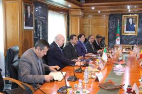 الجزائر وتشاد تبحثان آفاق التعاون في صناعة الإسمنت والموارد المنجمية