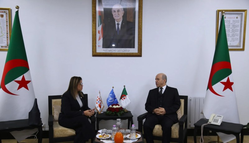 صندوق الأمم المتحدة للسكان يُثمّن دور الجزائر في تعزيز الحماية الاجتماعية