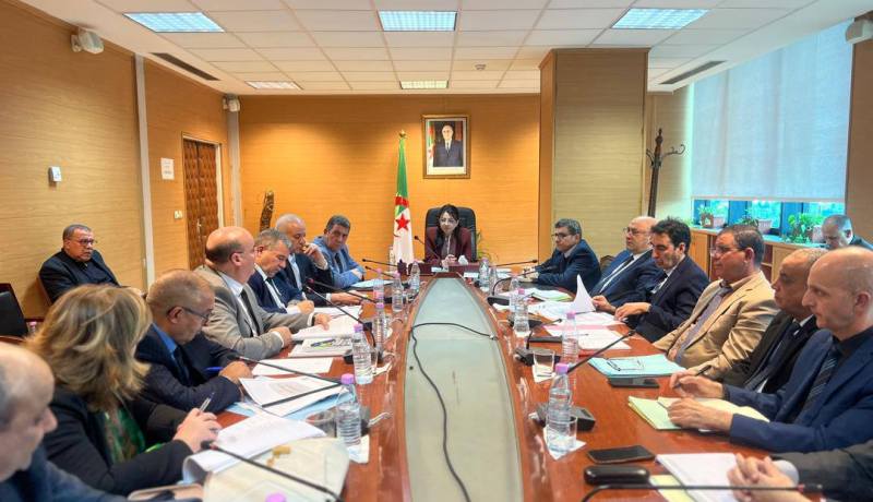 وزيرة التجارة تشدد على وفرة المواد وضبط السوق تحسبًا لشهر رمضان