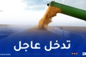 استيراد كميات إضافية من الذرة لضمان استقرار سوق الأعلاف الوطنية