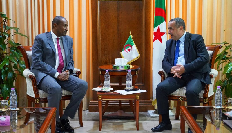 عجال يبحث مع المدير التنفيذي للجنة الإفريقية للطاقة تعزيز التعاون في الانتقال والفعالية الطاقوية