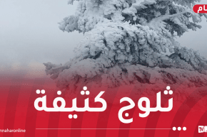ثلوج.. أمطار وبرودة بهذه الولايات غدا الأحد