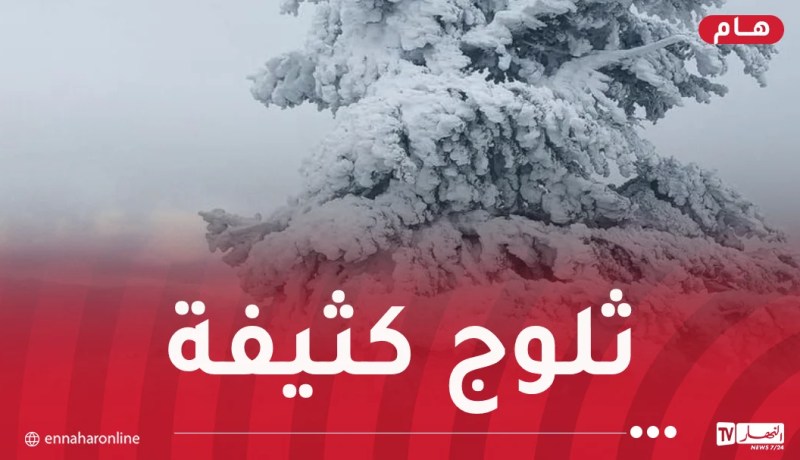 ثلوج.. أمطار وبرودة بهذه الولايات غدا الأحد