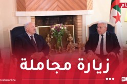 رئيس بيلاروسيا يستقبل الوزير الأول ورئيس المجلس الشعبي الوطني