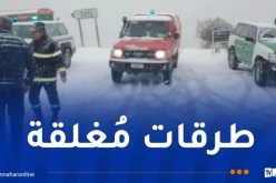 هذه الطرقات مُغلقة بسبب كثافة الثلوج!