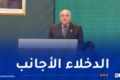 عطاف: التدخلات الخارجية طغت على أغلب مواطن التوتر والتأزم والصراع في إفريقيا