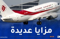 بن حمودة: الخطوط الجوية الجزائرية ستتحول إلى شركة قابضة