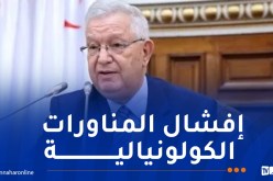 ناصري: مظاهرات 11 ديسمبر أكد فيها الشعب إلتحامه بثورته