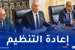 السلطة المستقلة للإنتخابات تُعد تصورا إستباقيا للهيئة الناخبة بالولايات المستحدثة