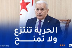 بوغالي: مظاهرات 11 ديسمبر أصر فيها الشعب الجزائري على درب الحرية والسيادة