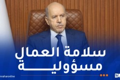 وزير العمل: إجراء دراسات وتشخيص دقيق للمخاطر المهنية للحد من الحوادث