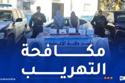 حجز أزيد من 21.5 كلغ من “الكيف” و7.440 قرصًا مهلوسًا