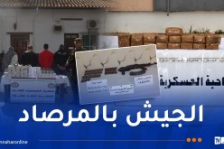 توقيف 10 عناصر دعم للإرهاب وإحباط إغراق الجزائر بقرابة 5 قناطير من الكيف المغربي