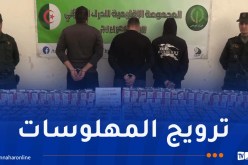 درك برج بوعريريج يُطيح بشبكة ويحجز أزيد من 36 ألف قرص مهلوس