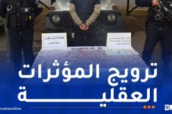 عين الدفلى: توقيف شخص وحجز 1360 قرص مهلوس بخميس مليانة