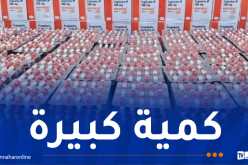 ضبط  أكثر من 665 ألف كبسولة “صاروخ” داخل مزرعة في ورقلة