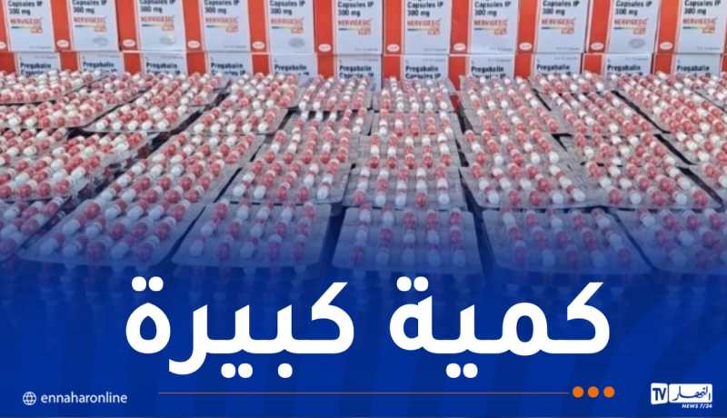 ضبط  أكثر من 665 ألف كبسولة “صاروخ” داخل مزرعة في ورقلة