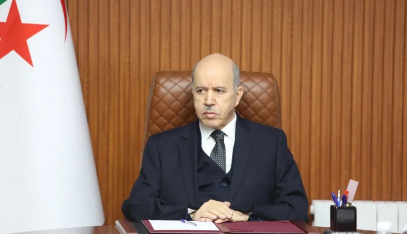 وزير العمل يسدي تعليمات صارمة لإطارات القطاع