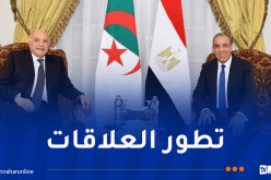 وزير الخارجية يجتمع مع نظيره المصري