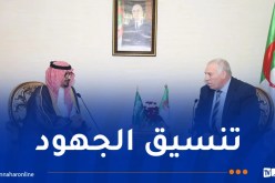 الجزائر والسعودية يبحثان تعزيز التعاون بمجال الذاكرة الوطنية