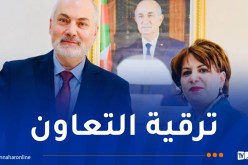 الجزائر والتشيك.. تعزيز التعاون الثقافي في عدة مجالات