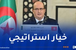 الوزير الأول: الإرتقاء بالتعاون الجزائري التونسي إلى مصاف الشراكة الإستراتيجية