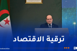 الوزير الأول يُؤكد على وضع بيئة قانونية آمنة تُشجع الاستثمار