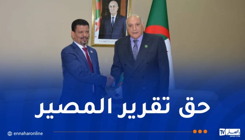 وزير الخارجية يتسقبل نظيره الصحراوي