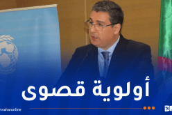 إطلاق دليل وطني لتوحيد الممارسات الطبية وتحسين رعاية النساء الحوامل والأطفال