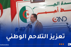 منذر بودن: منطقة القبائل صمّام الوحدة الوطنية