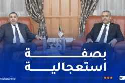 لجنة قطاعية وزارية لضمان السير الحسن للمدارس الابتدائية