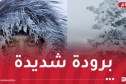 برودة شديدة وأمطار رعدية على هذه الولايات