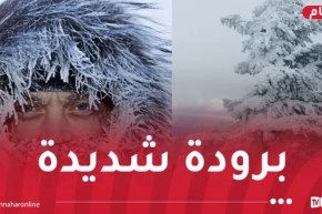 موجة برد قارس وثلوج كثيفة اليوم وغدا في هذه الولايات!