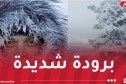 برودة شديدة عبر عدة ولايات اليوم