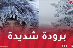 برودة شديدة على هذه الولايات اليوم