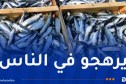 خنشلة.. حجز أزيد من قنطار سمك غير صالح للاستهلاك