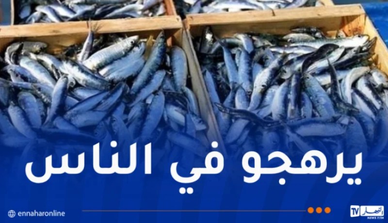 خنشلة.. حجز أزيد من قنطار سمك غير صالح للاستهلاك